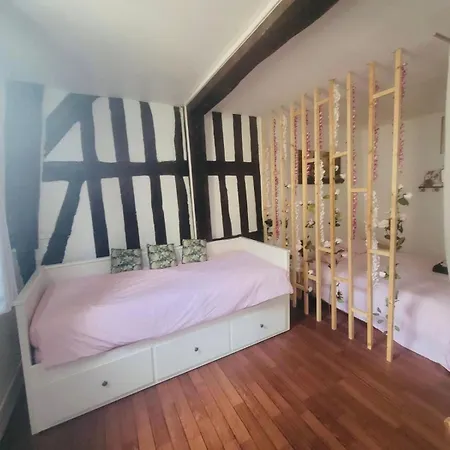 Appart Hypercentre Gare 'la Normande' Topskyhome Apartment Rouen